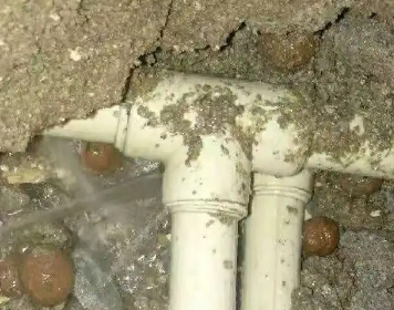 仁寿测漏水多少钱